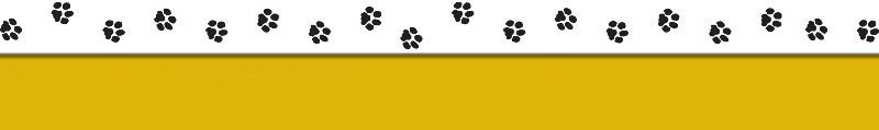 boarding sacramento sacramento daycare boarding and grooming grateful daycare boarding sacramento sacramento daycare boarding and grooming grateful daycare