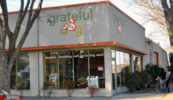 Dog daycare, boarding and dog washand 