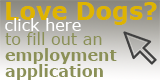 Employment Application